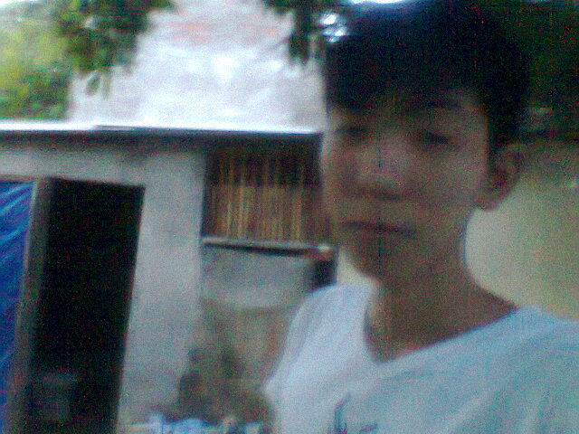 Hinh0376