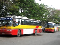 Xebus
